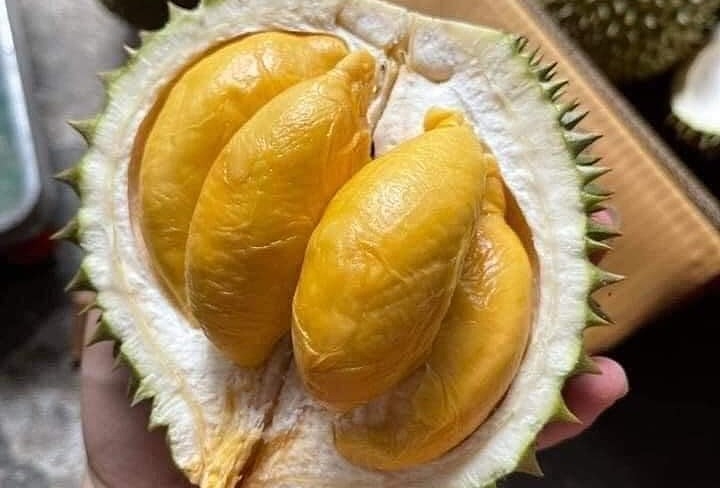 Sầu riêng giá rẻ bất ngờ, dân ăn thoải mái